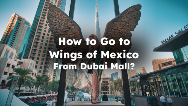 Go to Wings of Mexico From Dubai Mall