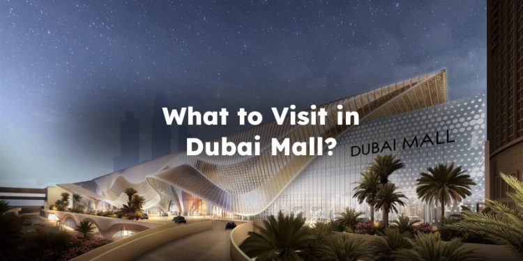 What to Visit in Dubai Mall? What to See in Dubai Mall