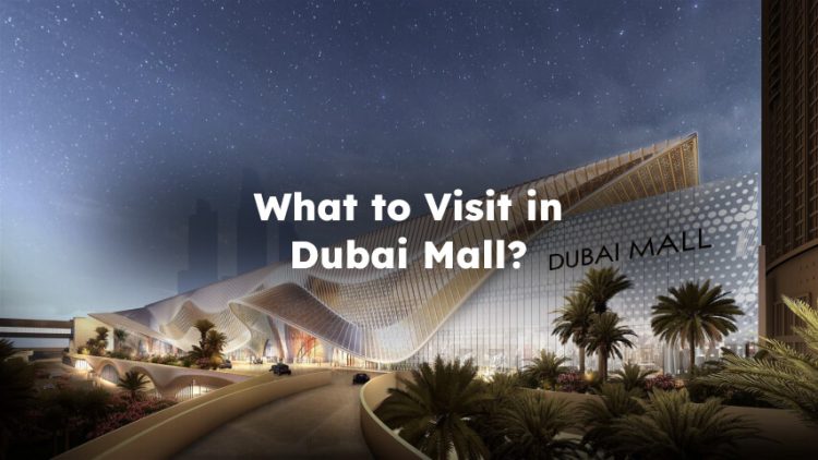 What to Visit in Dubai Mall? What to See in Dubai Mall