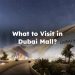 What to Visit in Dubai Mall? What to See in Dubai Mall