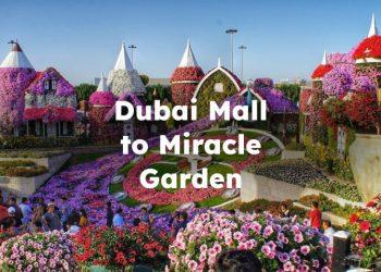 Dubai Mall to Miracle Garden , Dubai Nall to miracle garden distance