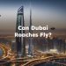 Do Dubai Roaches Fly? Can Dubia Roaches Fly?