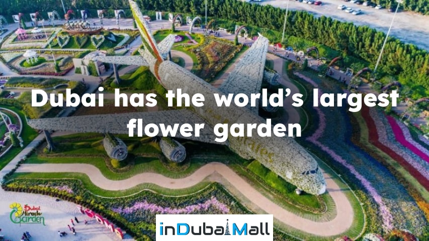 50 facts about Dubai