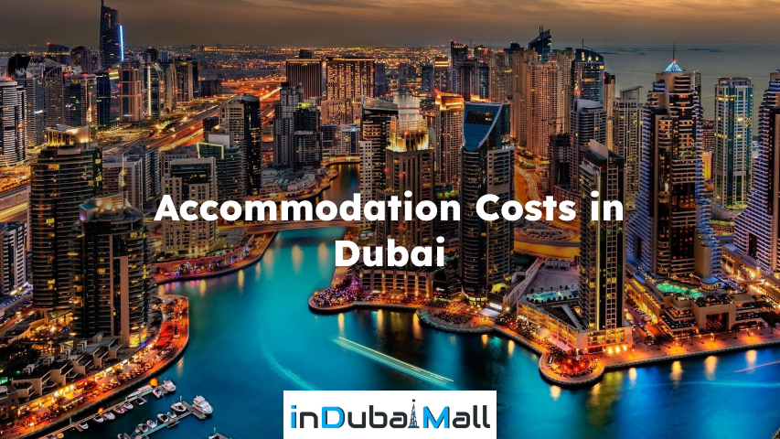 how much money required for dubai tour