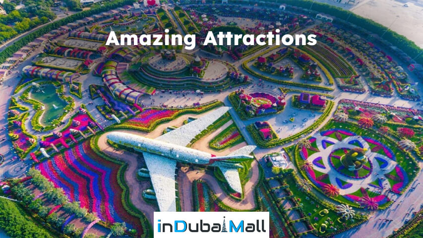 things to know before going to dubai