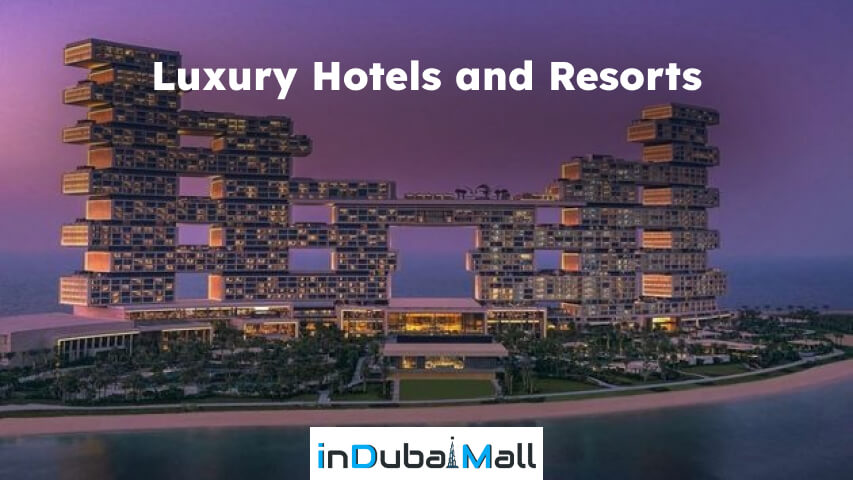Why to Visit Dubai