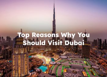 Top Reasons Why You Should Visit Dubai