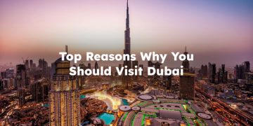 Top Reasons Why You Should Visit Dubai