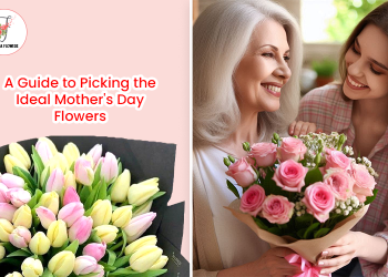 A Guide to Picking the Ideal Mother’s Day Flowers: Celebrate Her in Bloom