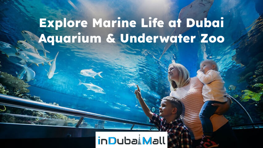 what to do in dubai summer