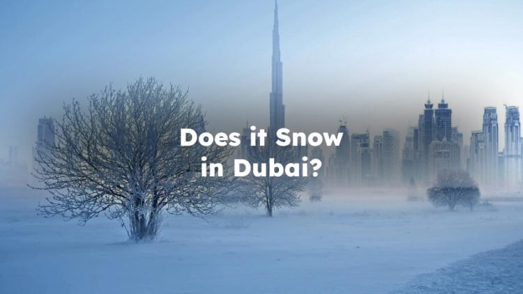 Does it Snow in Dubai? Has it Ever Snowed in Dubai