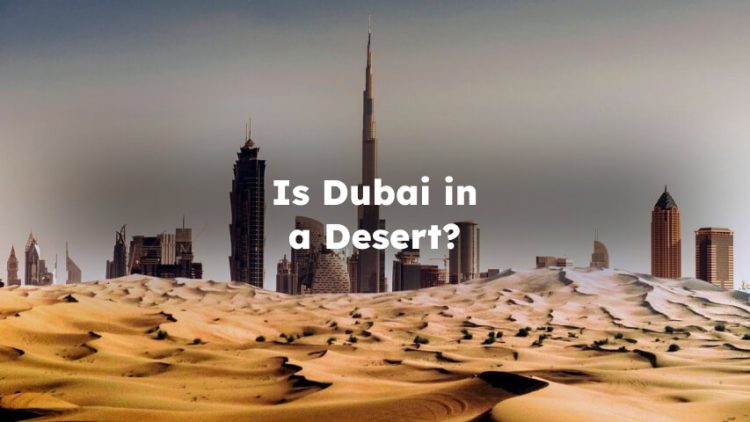 Is Dubai in a Desert? Is Dubai a Desert