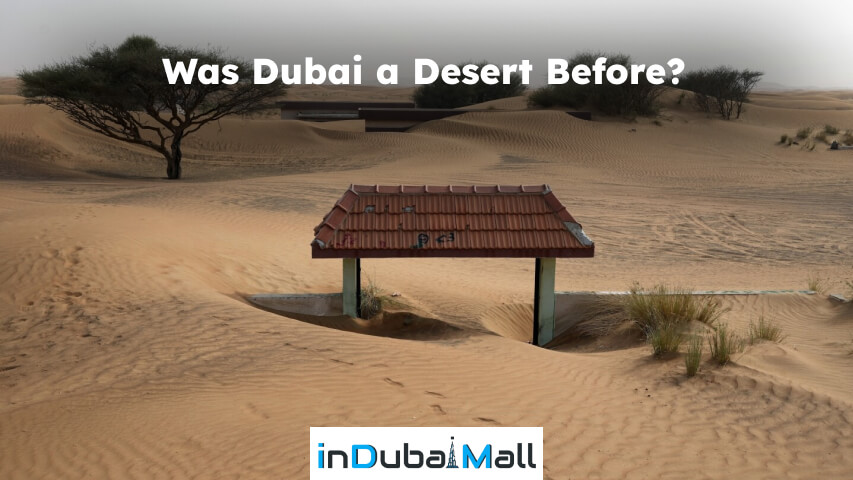 is dubai in the desert