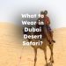 What to Wear in Dubai Desert Safari? Dubai Desert Safari What to Wear