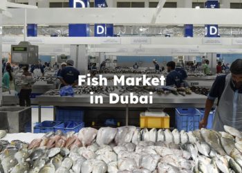 Fish Market in Dubai