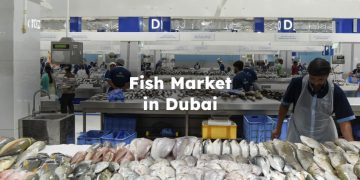 Fish Market in Dubai