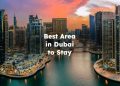 Best Area in Dubai to Stay