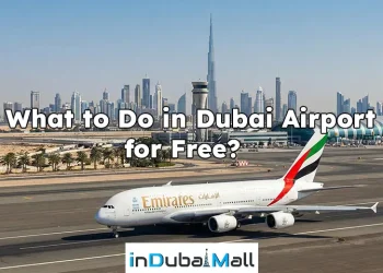 What to Do in Dubai Airport for Free?