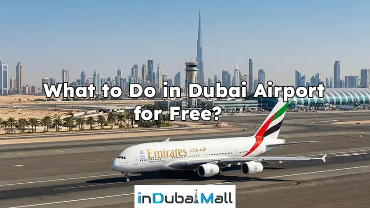 What to Do in Dubai Airport for Free?