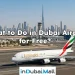 What to Do in Dubai Airport for Free? Free things to do at Dubai Airport