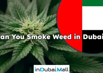 Can You Smoke Weed in Dubai?