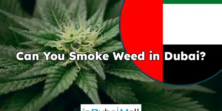 Can You Smoke Weed in Dubai? do people smoke weed in dubai?