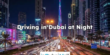 Driving in Dubai at Night
