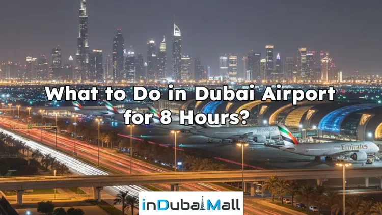 What to Do in Dubai Airport for 8 Hours?